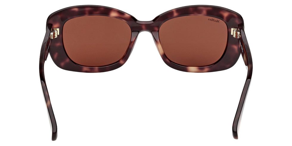 Max Mara MM0170 ELIZABETH 1 55E 53 - Colored Havana / Brown #id:mm017055e_s:102120