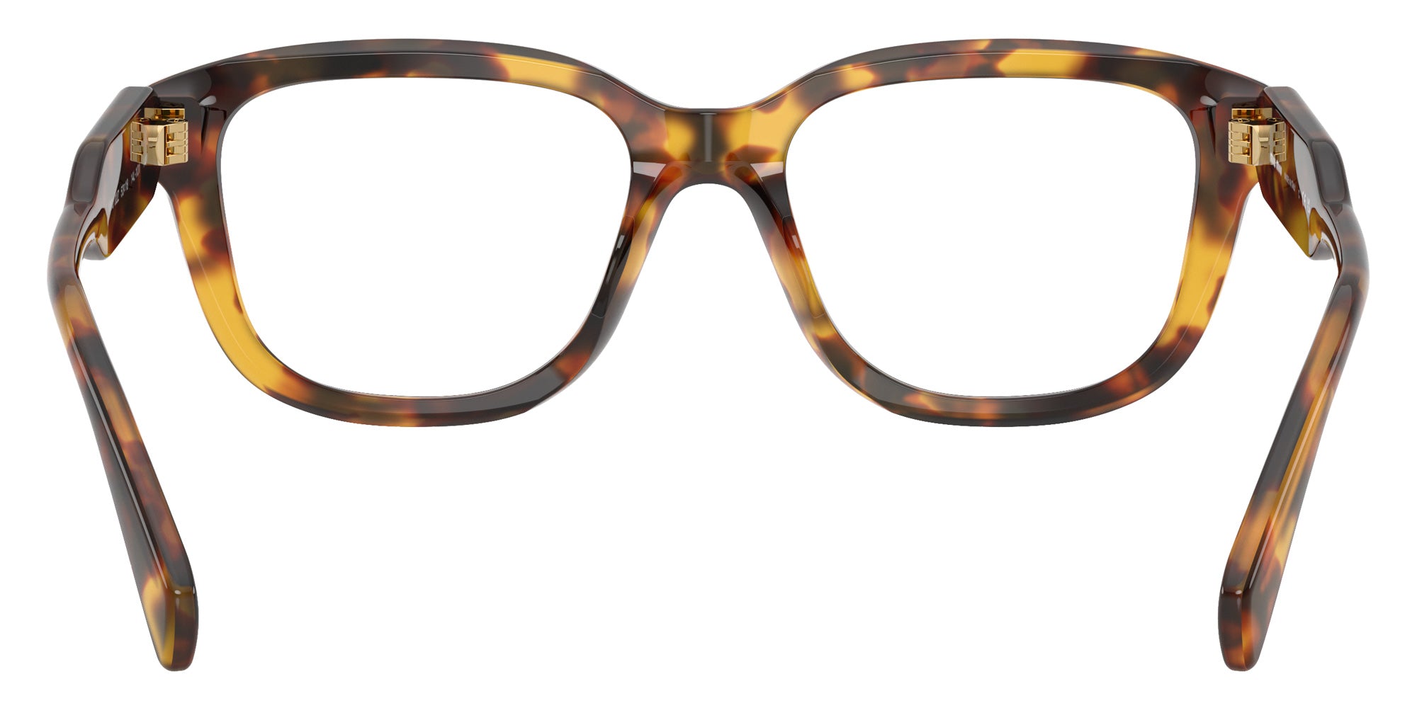 Miu Miu MU 02ZV 14L1O1 51 - Honey Havana #id:mu02zv14l1o1_s:100115