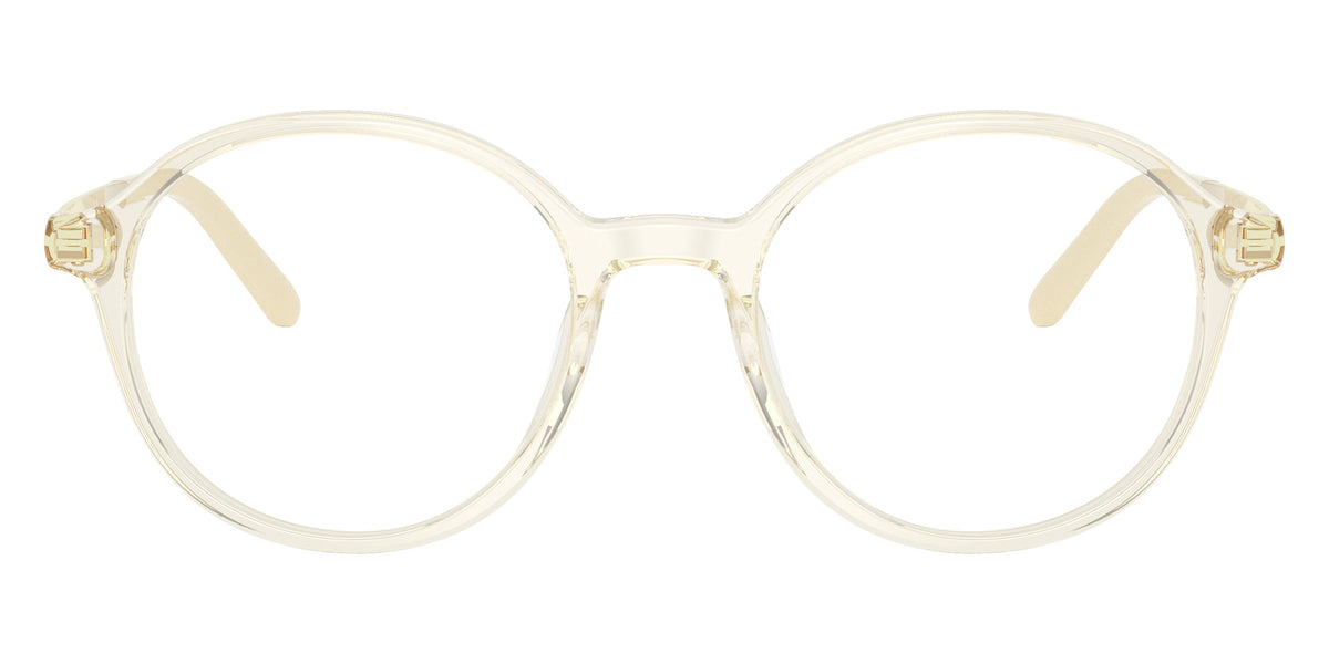 Miu Miu MU 10ZVU 12X1O1 49 - Ebony Havana #id:mu10zvu12x1o1_s:100100