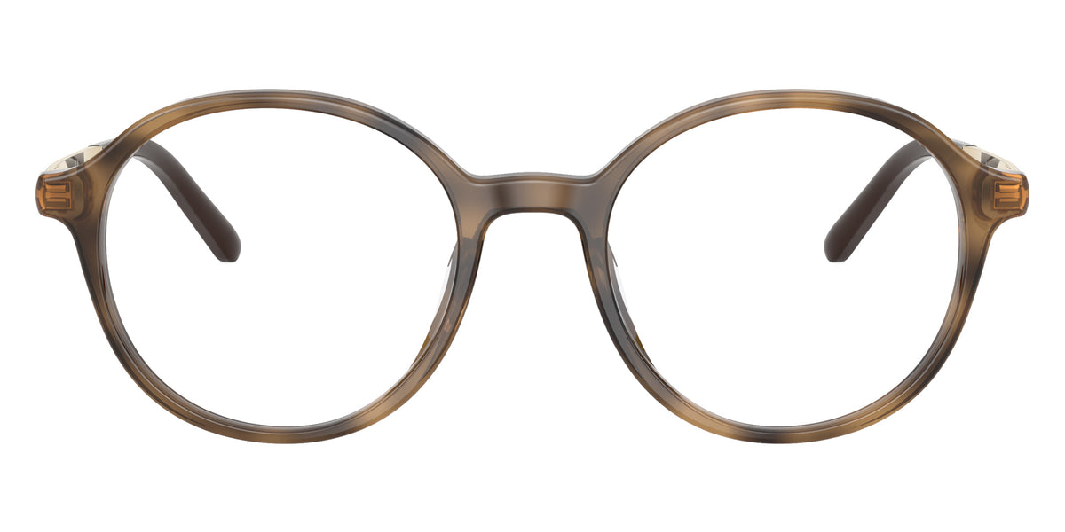 Miu Miu MU 10ZVU 27Q1O1 49 - Ebony Havana #id:mu10zvu27q1o1_s:112100