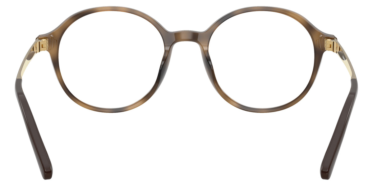 Miu Miu MU 10ZVU 27Q1O1 49 - Ebony Havana #id:mu10zvu27q1o1_s:112115
