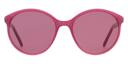 Andy Wolf - Nadine Sun