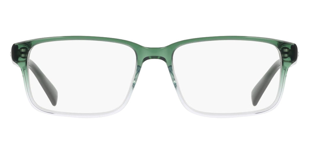 Nike 1001C 313 49 - Forest/Clear Gradient #id:ninike1001c313_s:102100