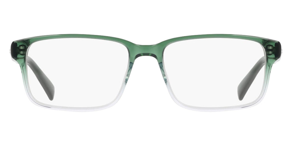 Nike 1001C 313 49 - Forest/Clear Gradient #id:ninike1001c313_s:102100