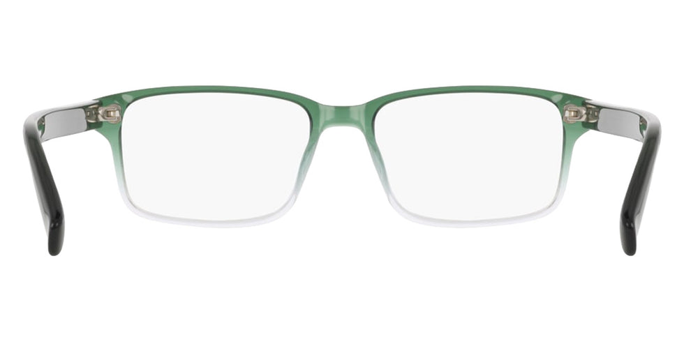 Nike 1001C 313 49 - Forest/Clear Gradient #id:ninike1001c313_s:102120