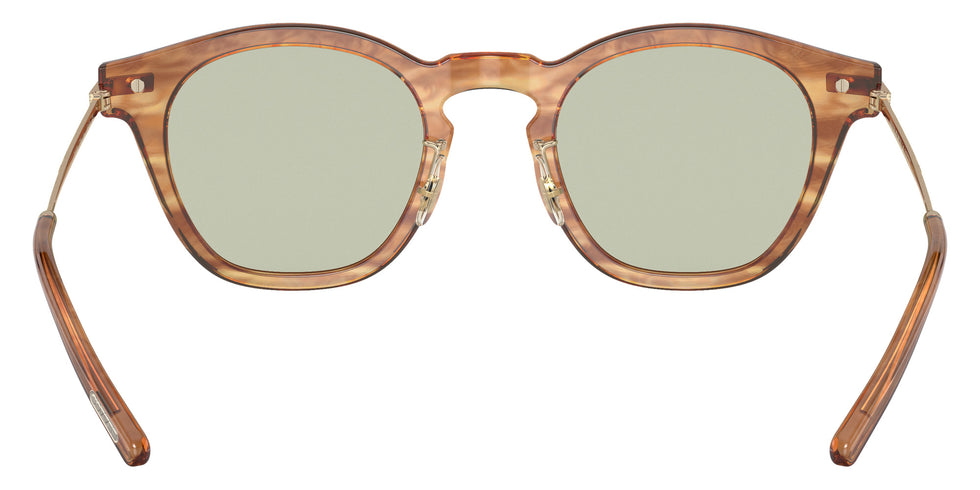 Oliver Peoples OV5496 Len 1744 49 - Hinoki Tortoise/Brushed Gold / Green Wash #id:ov54961744_s:100115