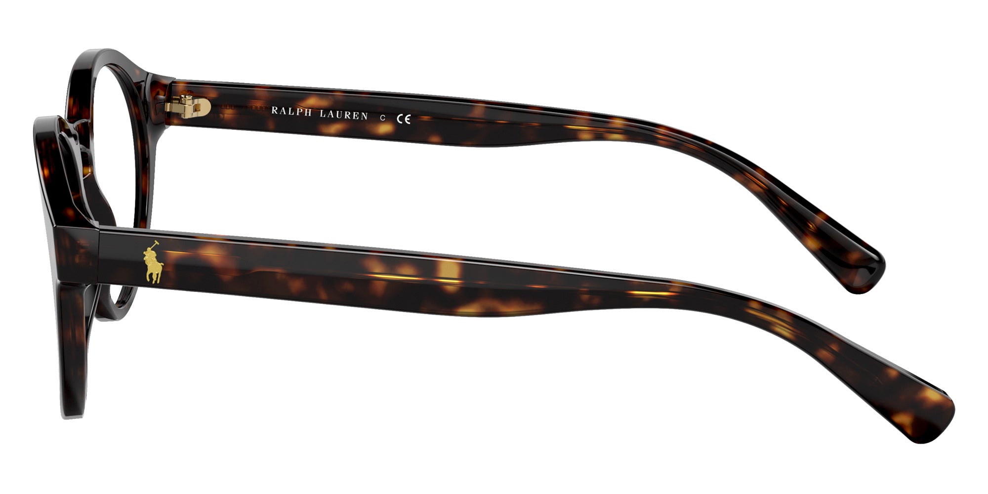 POLO RALPH LAUREN PH2243 5003 50 - Shiny Dark Havana #id:ph22435003_s:100110