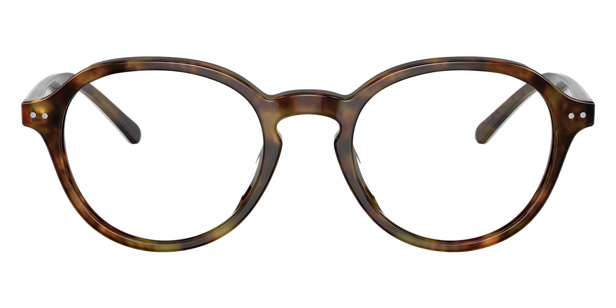 POLO RALPH LAUREN PH2251U 5017 48 - Shiny Jerry Havana #id:ph2251u5017_s:100100
