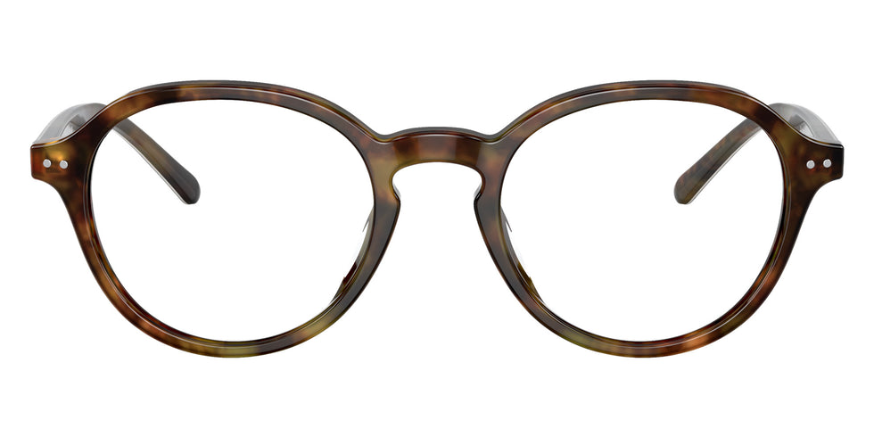 POLO RALPH LAUREN PH2251U 5017 48 - Shiny Jerry Havana #id:ph2251u5017_s:100100