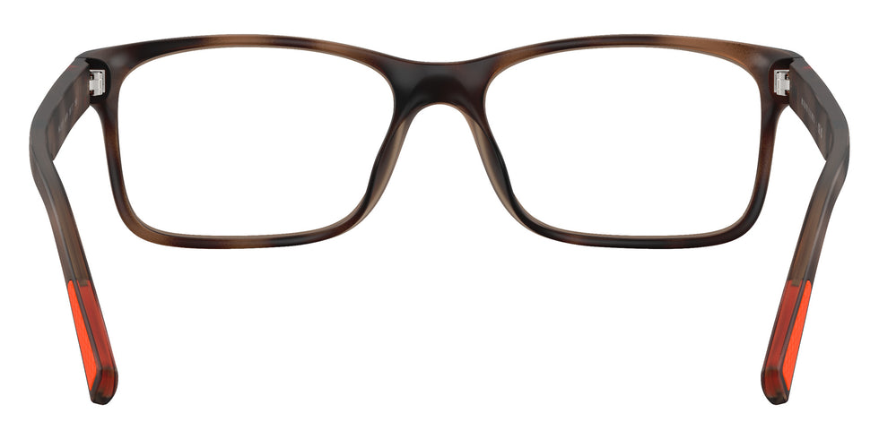 POLO RALPH LAUREN PH2301U 6070 56 - Matte Dark Havana #id:ph2301u6070_s:108115