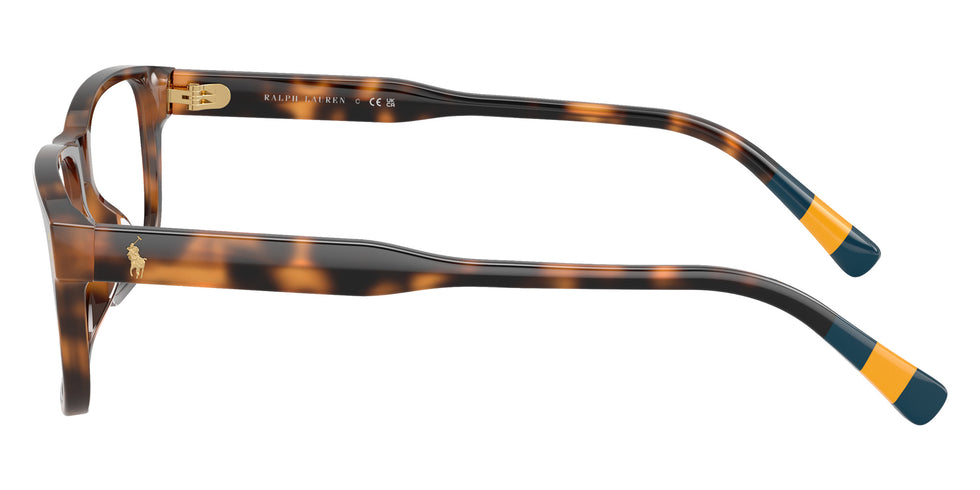 POLO RALPH LAUREN PH2302U 5003 55 - Shiny Havana #id:ph2302u5003_s:104110