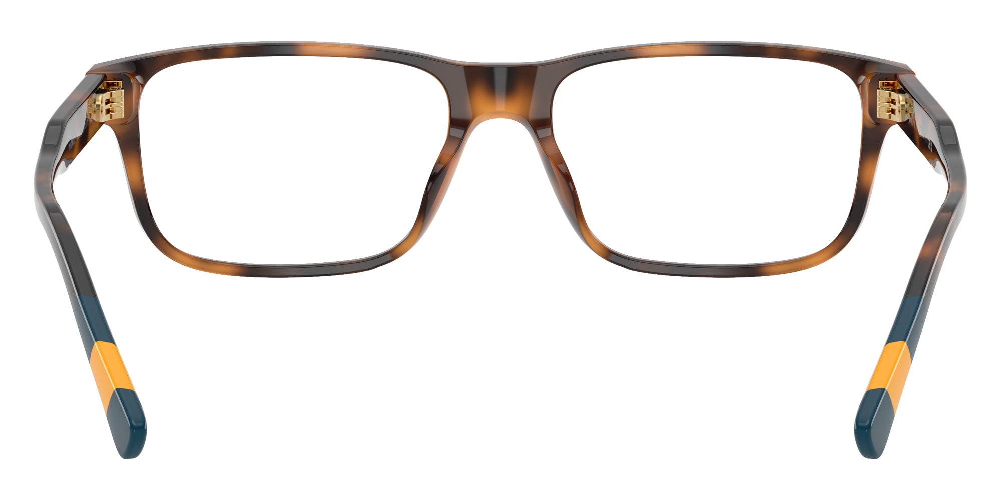 POLO RALPH LAUREN PH2302U 5003 55 - Shiny Havana #id:ph2302u5003_s:104115