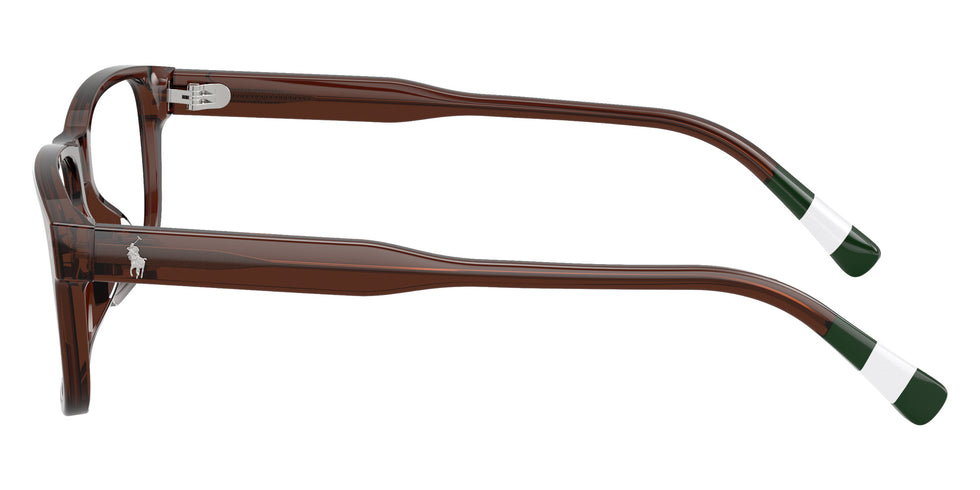 POLO RALPH LAUREN PH2302U 6315 55 - Shiny Transparent Brown #id:ph2302u6315_s:108110