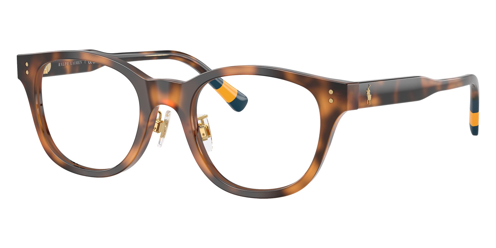 POLO RALPH LAUREN PH2303F 5003 50 - Shiny Dark Havana #id:ph2303f5003_s:102105