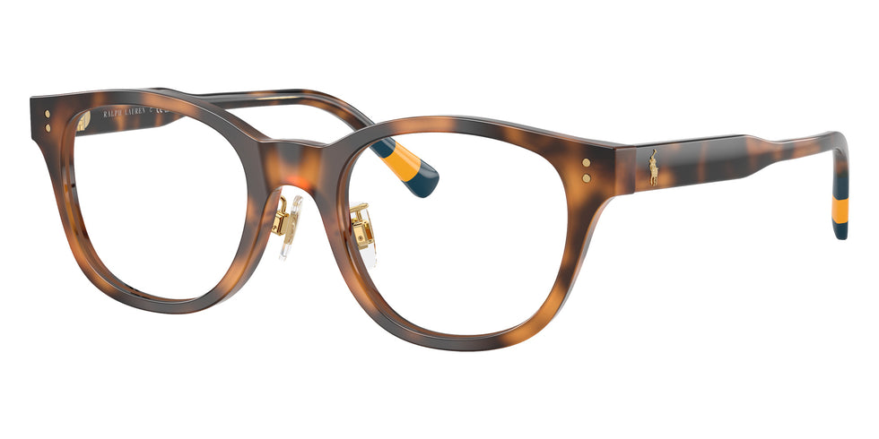 POLO RALPH LAUREN PH2303F 5003 50 - Shiny Dark Havana #id:ph2303f5003_s:102105