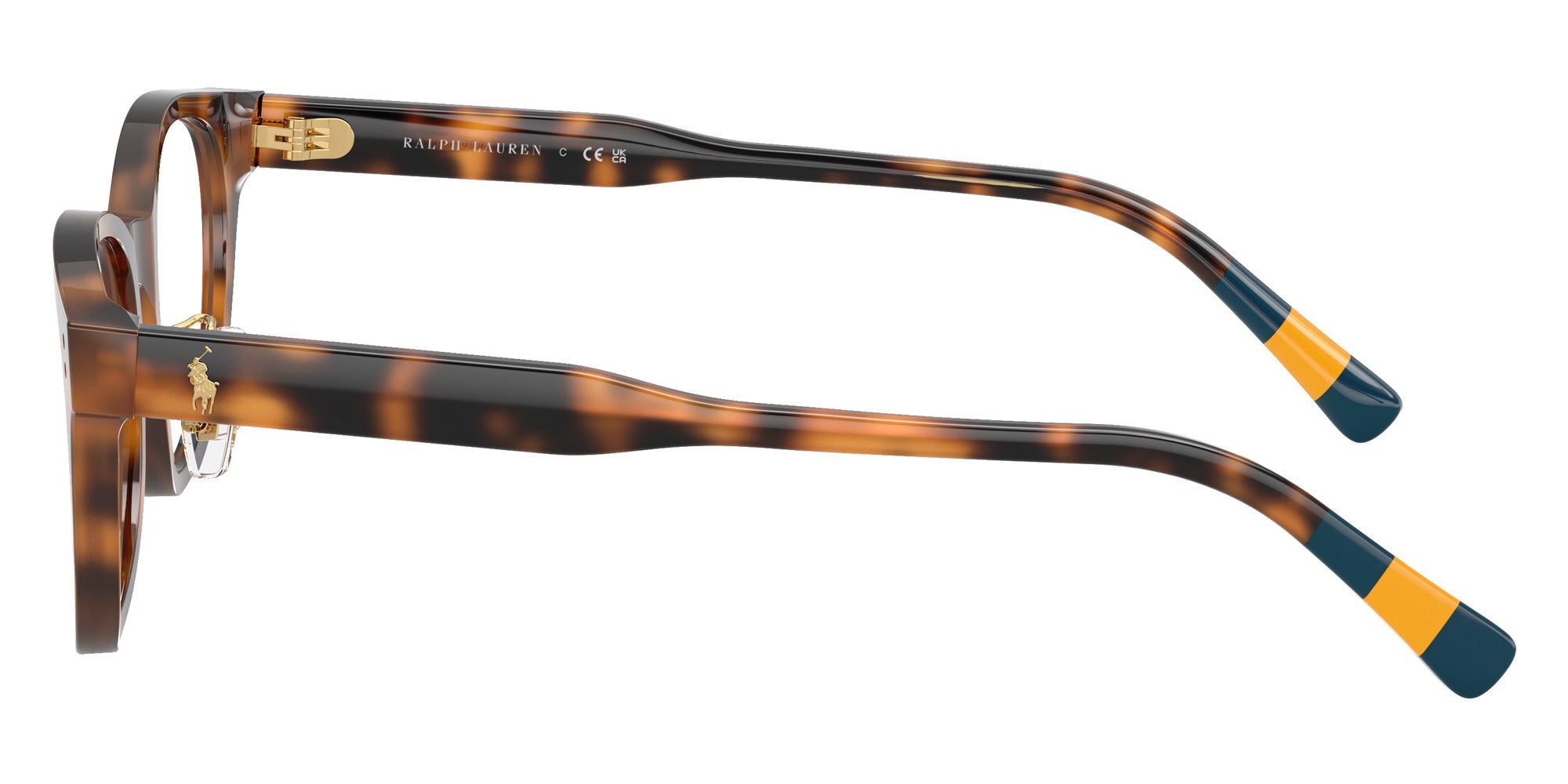 POLO RALPH LAUREN PH2303F 5003 50 - Shiny Dark Havana #id:ph2303f5003_s:102110