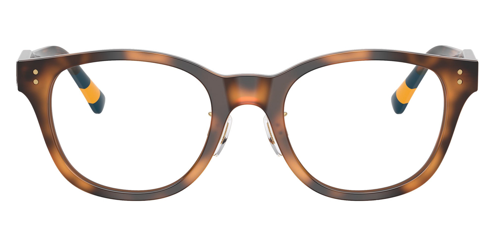 POLO RALPH LAUREN PH2303F 5003 50 - Shiny Dark Havana #id:ph2303f5003_s:102100