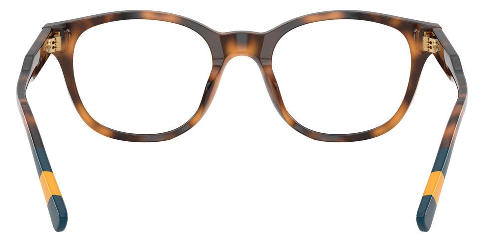 POLO RALPH LAUREN PH2303U 5003 50 - Shiny Havana #id:ph2303u5003_s:104115