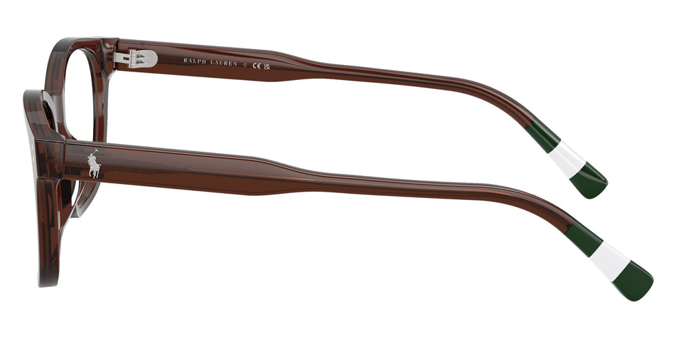 POLO RALPH LAUREN PH2303U 6315 50 - Shiny Transparent Brown #id:ph2303u6315_s:112110