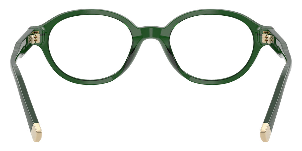 POLO RALPH LAUREN PH2305F 6361 51 - Shiny Transparent Dark Green #id:ph2305f6361_s:106115