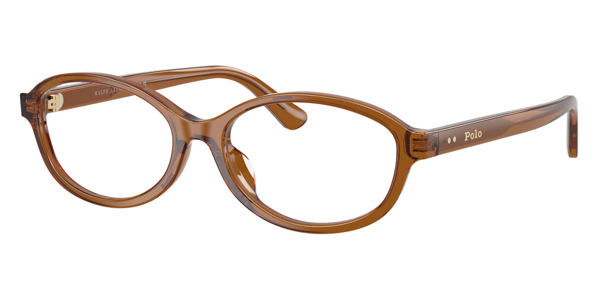 POLO RALPH LAUREN PH2311U 6371 51 - Shiny Transparent Brown #id:ph2311u6371_s:112105