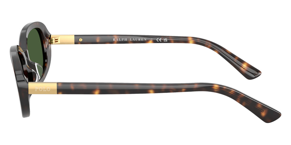 POLO RALPH LAUREN PH4198U 500371 53 - Shiny Dark Havana / Bottle Green #id:ph4198u500371_s:100110