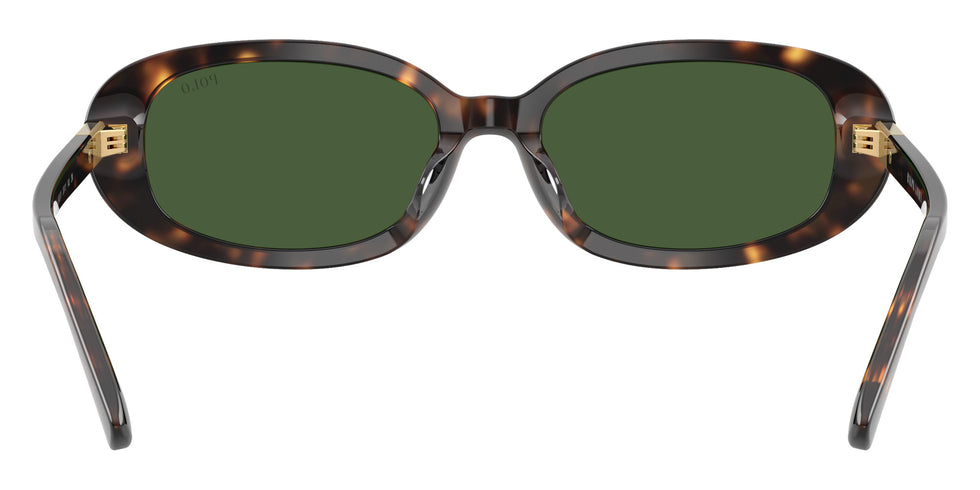 POLO RALPH LAUREN PH4198U 500371 53 - Shiny Dark Havana / Bottle Green #id:ph4198u500371_s:100115