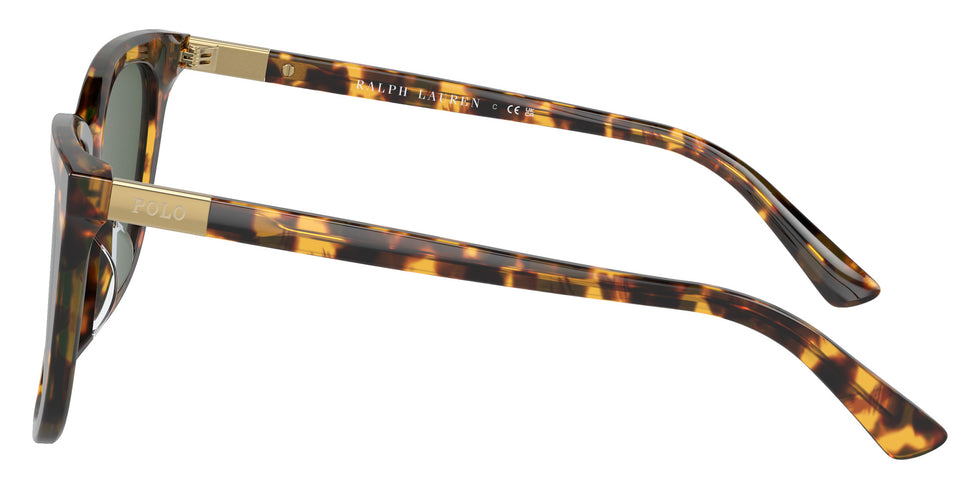 POLO RALPH LAUREN PH4201U 607871 55 - Shiny Havana / Dark Green #id:ph4201u607871_s:100110