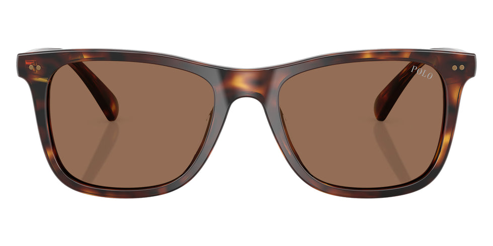 POLO RALPH LAUREN PH4220U 613773 55 - Shiny Brown Tortoise / Dark Brown #id:ph4220u613773_s:100100