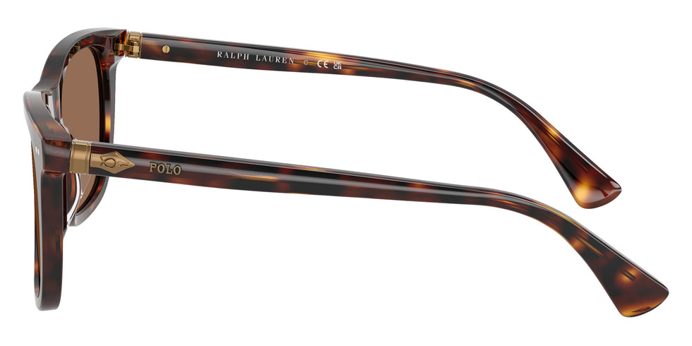POLO RALPH LAUREN PH4220U 613773 55 - Shiny Brown Tortoise / Dark Brown #id:ph4220u613773_s:100110