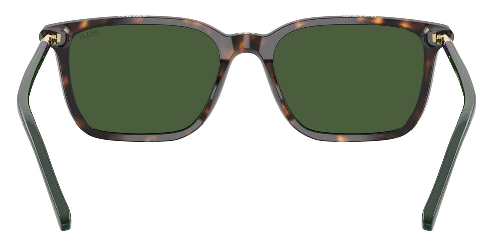 POLO RALPH LAUREN PH4226 567371 56 - Shiny Dark Havana / Bottle Green #id:ph4226567371_s:100115