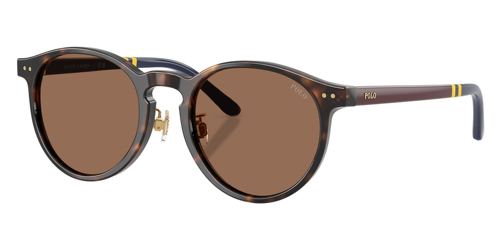 POLO RALPH LAUREN PH4236F 500373 50 - Shiny Dark Havana / Brown #id:ph4236f500373_s:102105