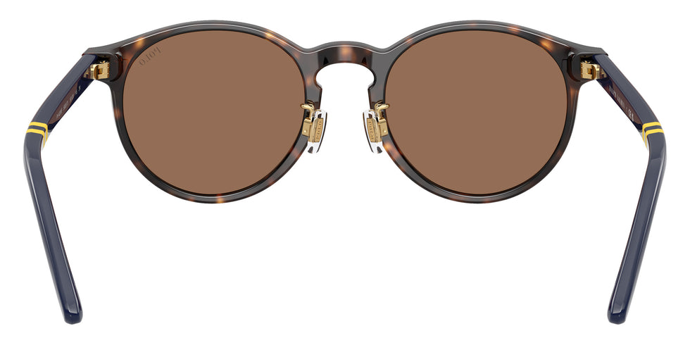 POLO RALPH LAUREN PH4236F 500373 50 - Shiny Dark Havana / Brown #id:ph4236f500373_s:102115