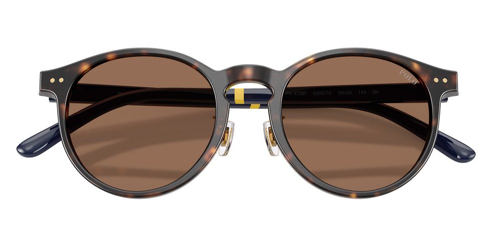 POLO RALPH LAUREN PH4236F 500373 50 - Shiny Dark Havana / Brown #id:ph4236f500373_s:102120