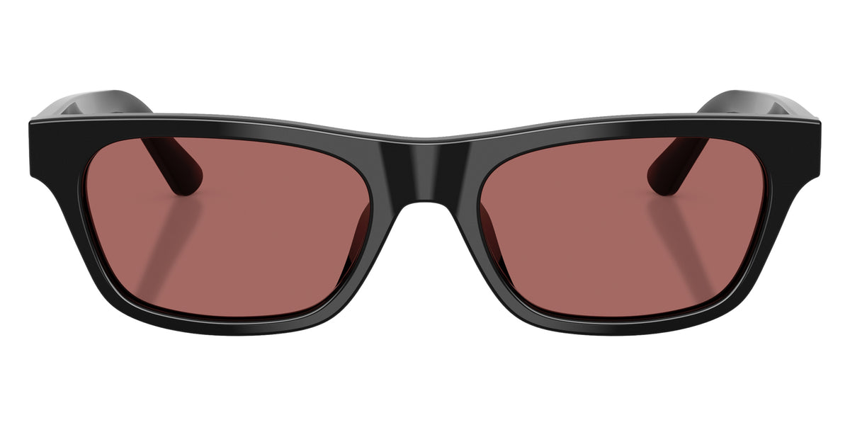 POLO RALPH LAUREN PH4238U 500169 53 - Shiny Black / Dark Violet #id:ph4238u500169_s:100100