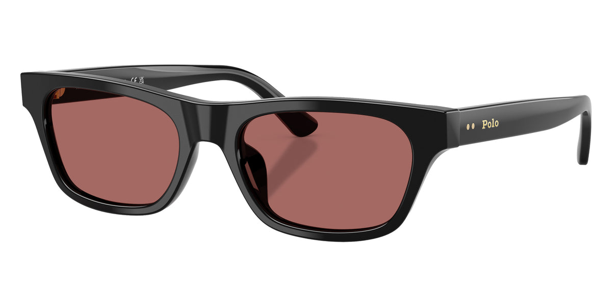 POLO RALPH LAUREN PH4238U 500169 53 - Shiny Black / Dark Violet #id:ph4238u500169_s:100105