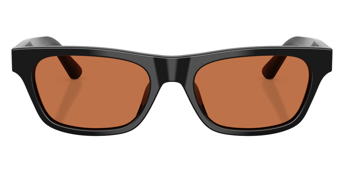 POLO RALPH LAUREN PH4238U 500173 53 - Shiny Black / Brown #id:ph4238u500173_s:104100