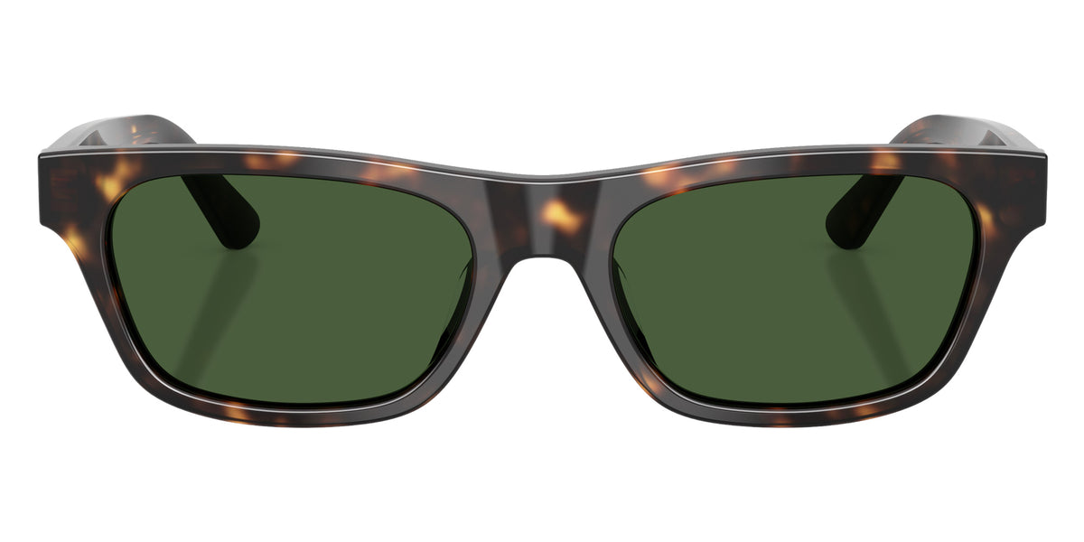 POLO RALPH LAUREN PH4238U 500371 53 - Shiny Dark Havana / Dark Green #id:ph4238u500371_s:106100