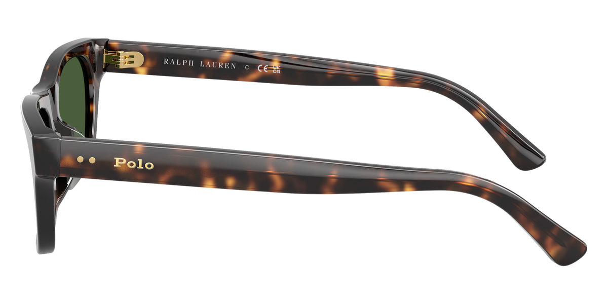 POLO RALPH LAUREN PH4238U 500371 53 - Shiny Dark Havana / Dark Green #id:ph4238u500371_s:106110