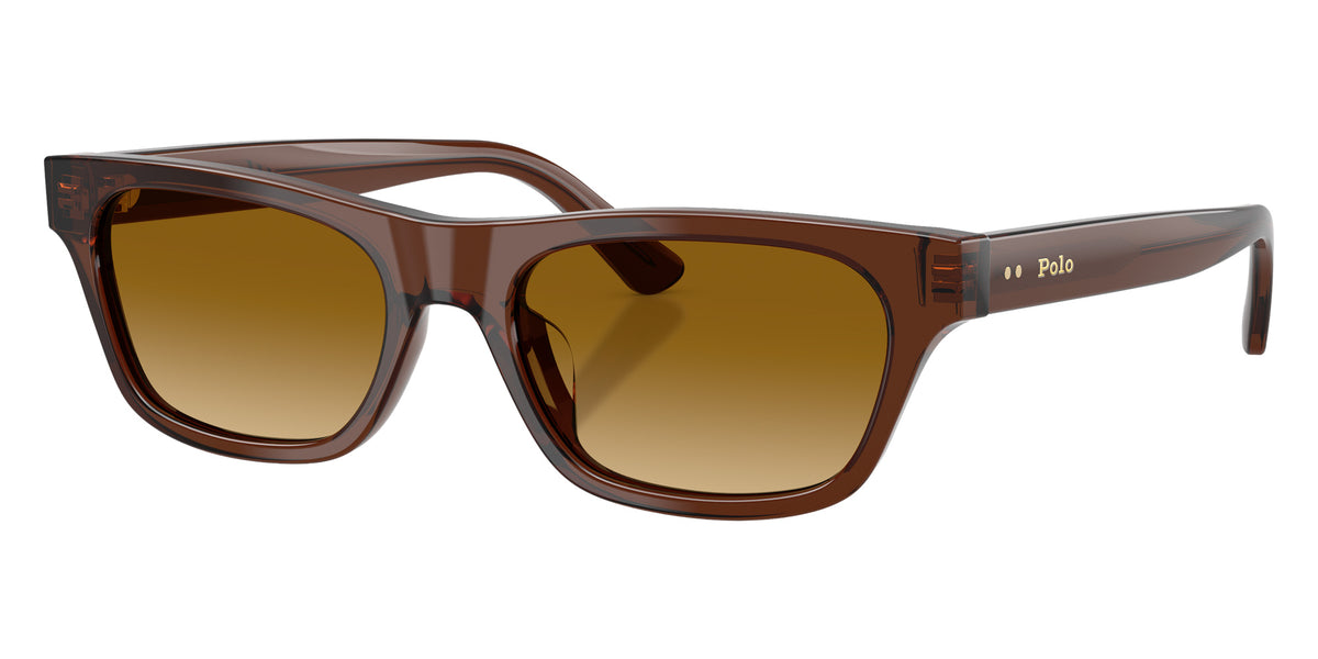POLO RALPH LAUREN PH4238U 63532L 53 - Shiny Transparent Brown / Light Yellow Gradient #id:ph4238u63532l_s:110105