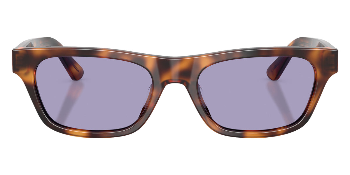 POLO RALPH LAUREN PH4238U 63551A 53 - Shiny Brown Tortoise / Lilac #id:ph4238u63551a_s:112100