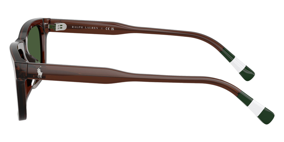 POLO RALPH LAUREN PH4240U 631571 54 - Shiny Transparent Brown #id:ph4240u631571_s:106110