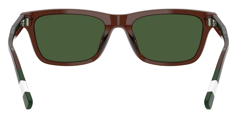 POLO RALPH LAUREN PH4240U 631571 54 - Shiny Transparent Brown #id:ph4240u631571_s:106115