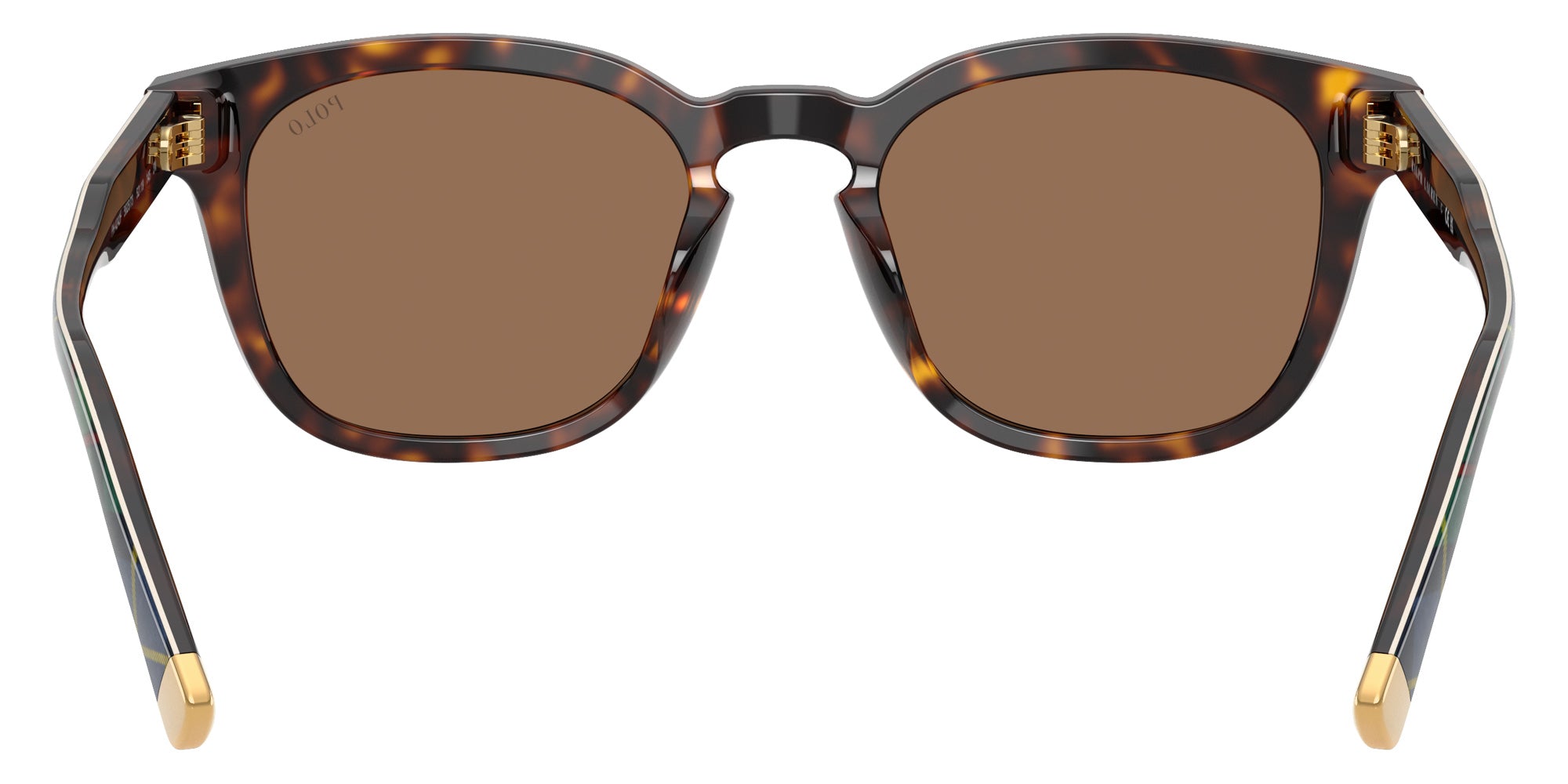 POLO RALPH LAUREN PH4242F 562573 52 - Shiny Havana #id:ph4242f562573_s:102115