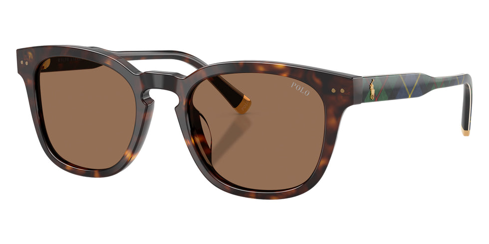 POLO RALPH LAUREN PH4242U 562573 52 - Shiny Havana #id:ph4242u562573_s:102105