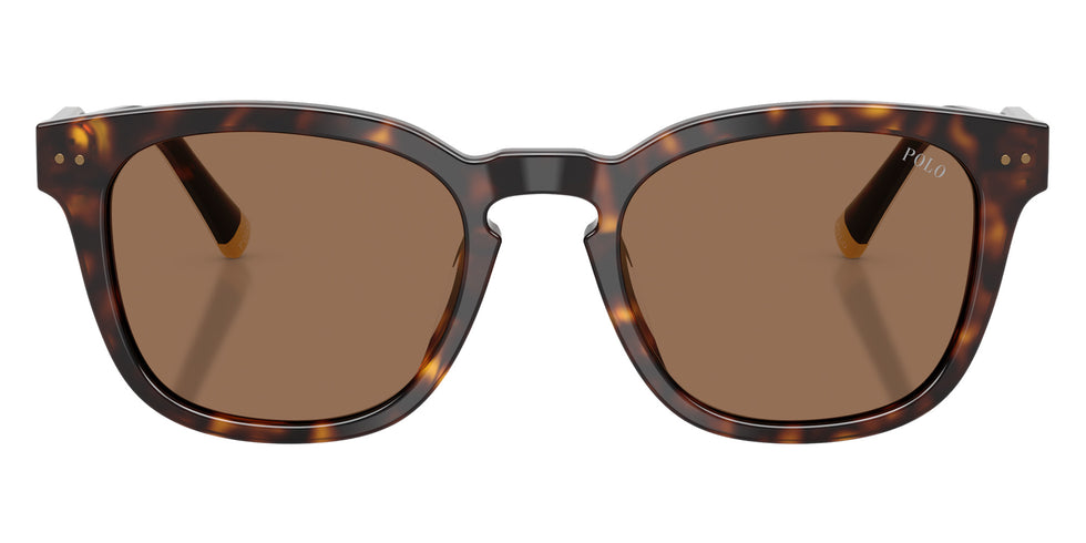 POLO RALPH LAUREN PH4242U 562573 52 - Shiny Havana #id:ph4242u562573_s:102100