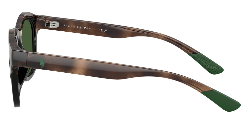 POLO RALPH LAUREN PH4243U 607071 51 - Havana/Black #id:ph4243u607071_s:104110