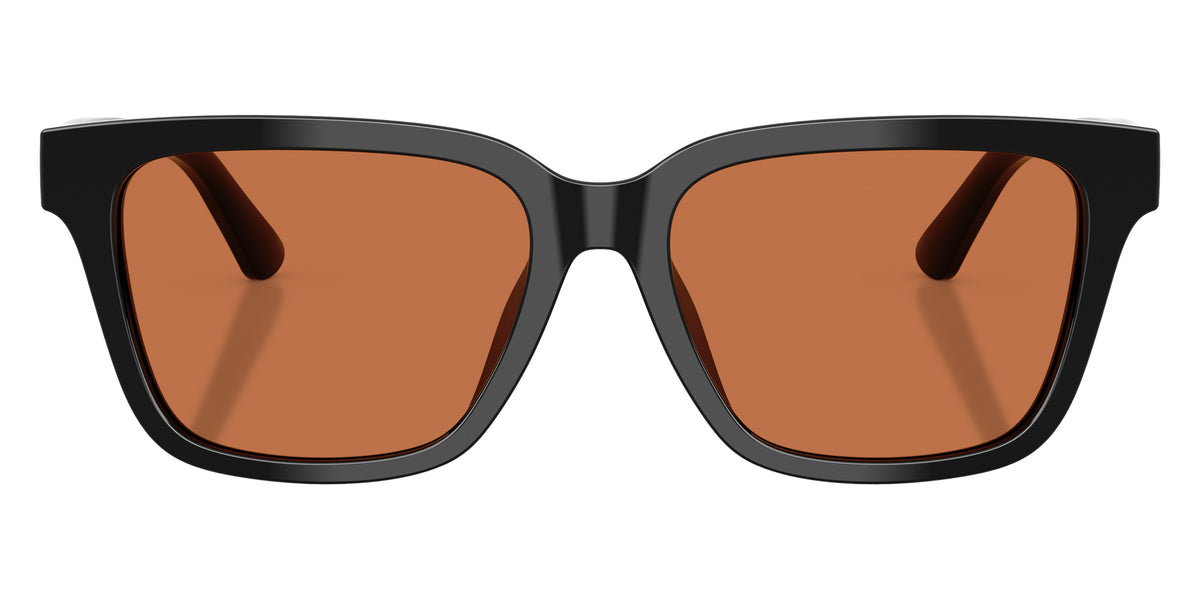 POLO RALPH LAUREN PH4247U 500173 54 - Shiny Black / Brown #id:ph4247u500173_s:100100
