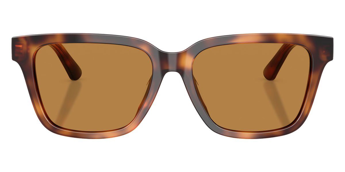 POLO RALPH LAUREN PH4247U 635593 54 - Shiny Tortoise / Light Brown #id:ph4247u635593_s:108100