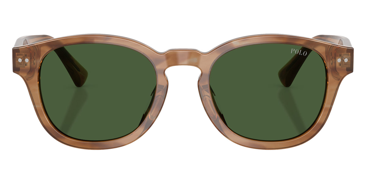 POLO RALPH LAUREN PH4253U 613871 50 - Shiny Light Brown Striped / Bottle Green #id:ph4253u613871_s:102100
